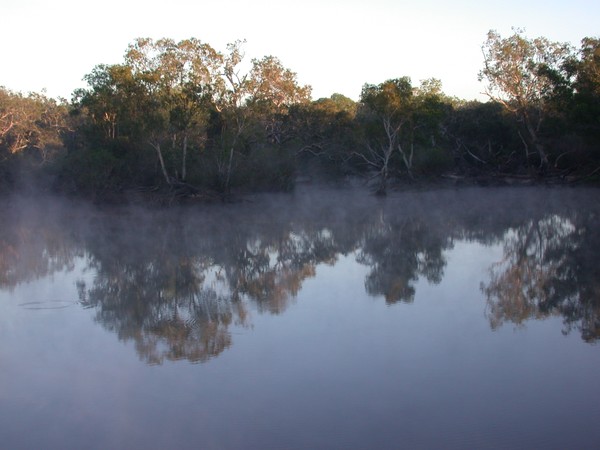 Morning Mist